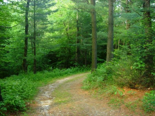 71 Old Middlefield Road Washington, MA 01223 - Photo 5 of 37 Barn driveway