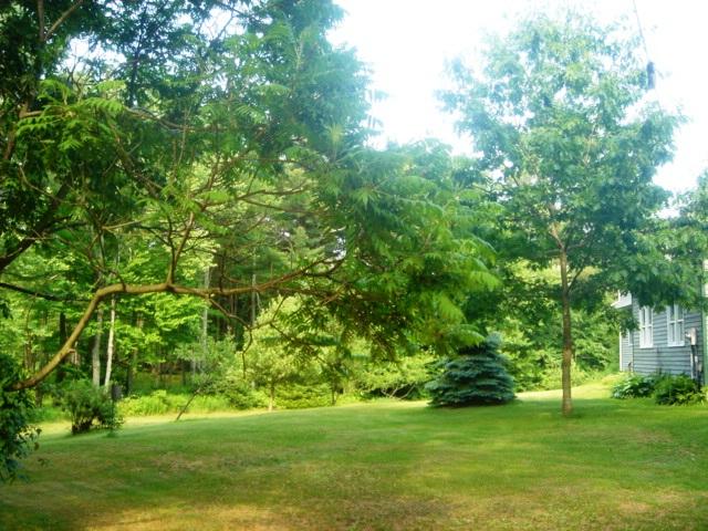 71 Old Middlefield Road Washington, MA 01223 - Photo 10 of 37 Rear yard