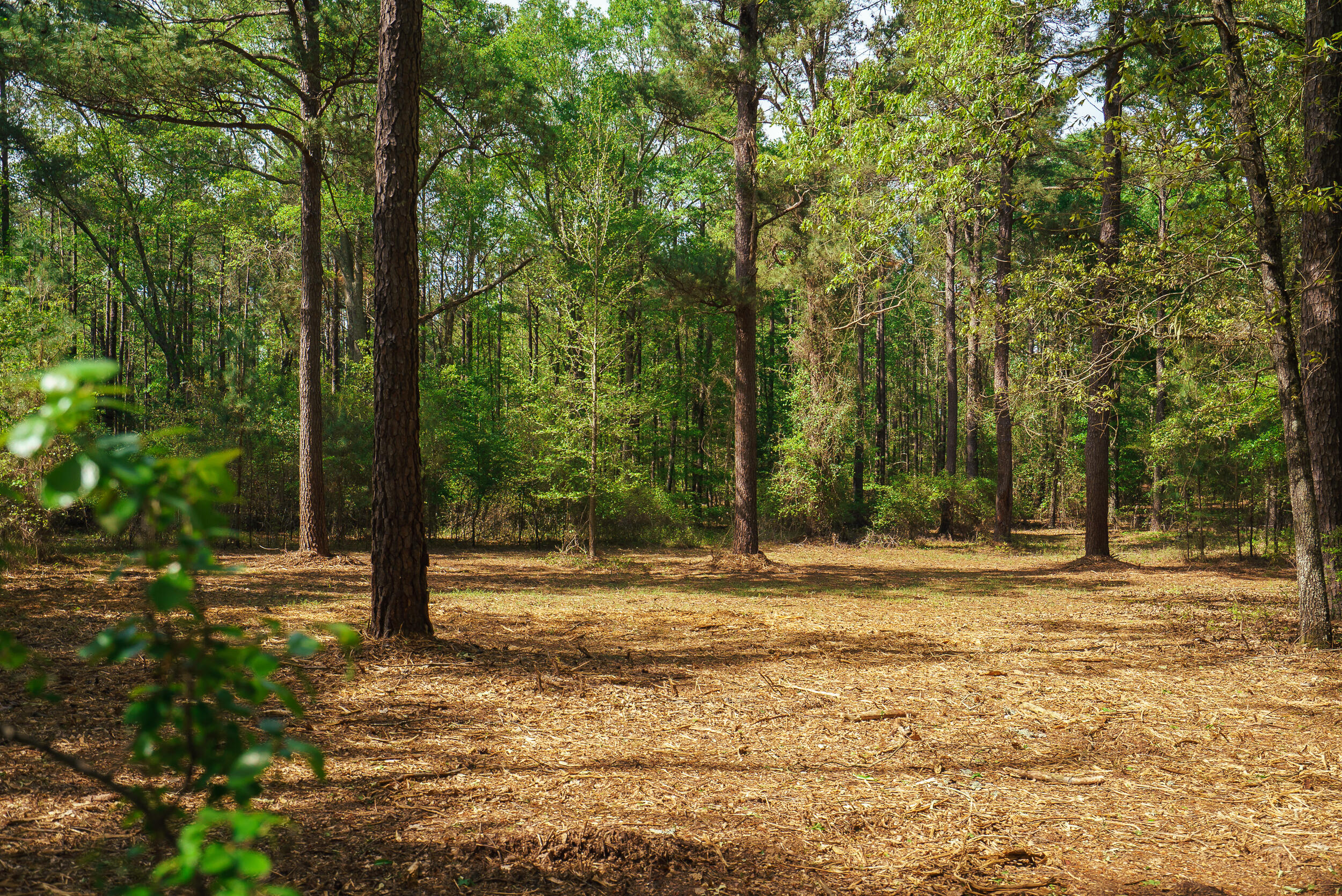 Lot 3 Banks Mill Road Southeast Aiken, SC 29803 - Photo 40 of 42