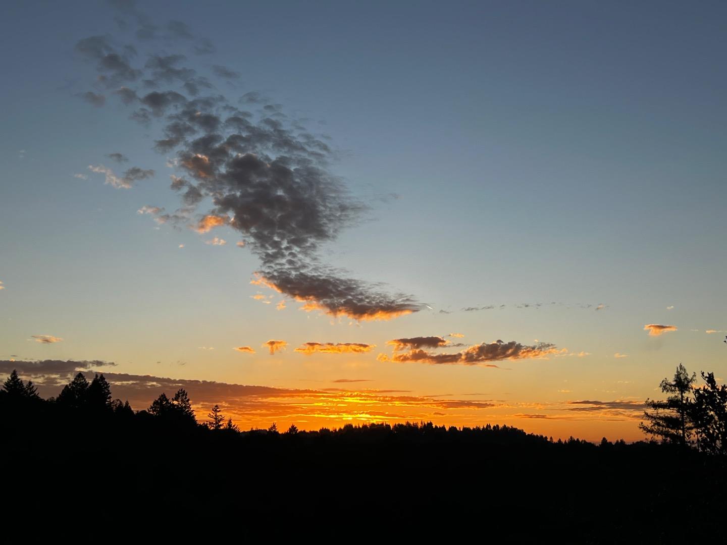 2500 Nelson Road Scotts Valley, CA 95066 - Photo 65 of 77
