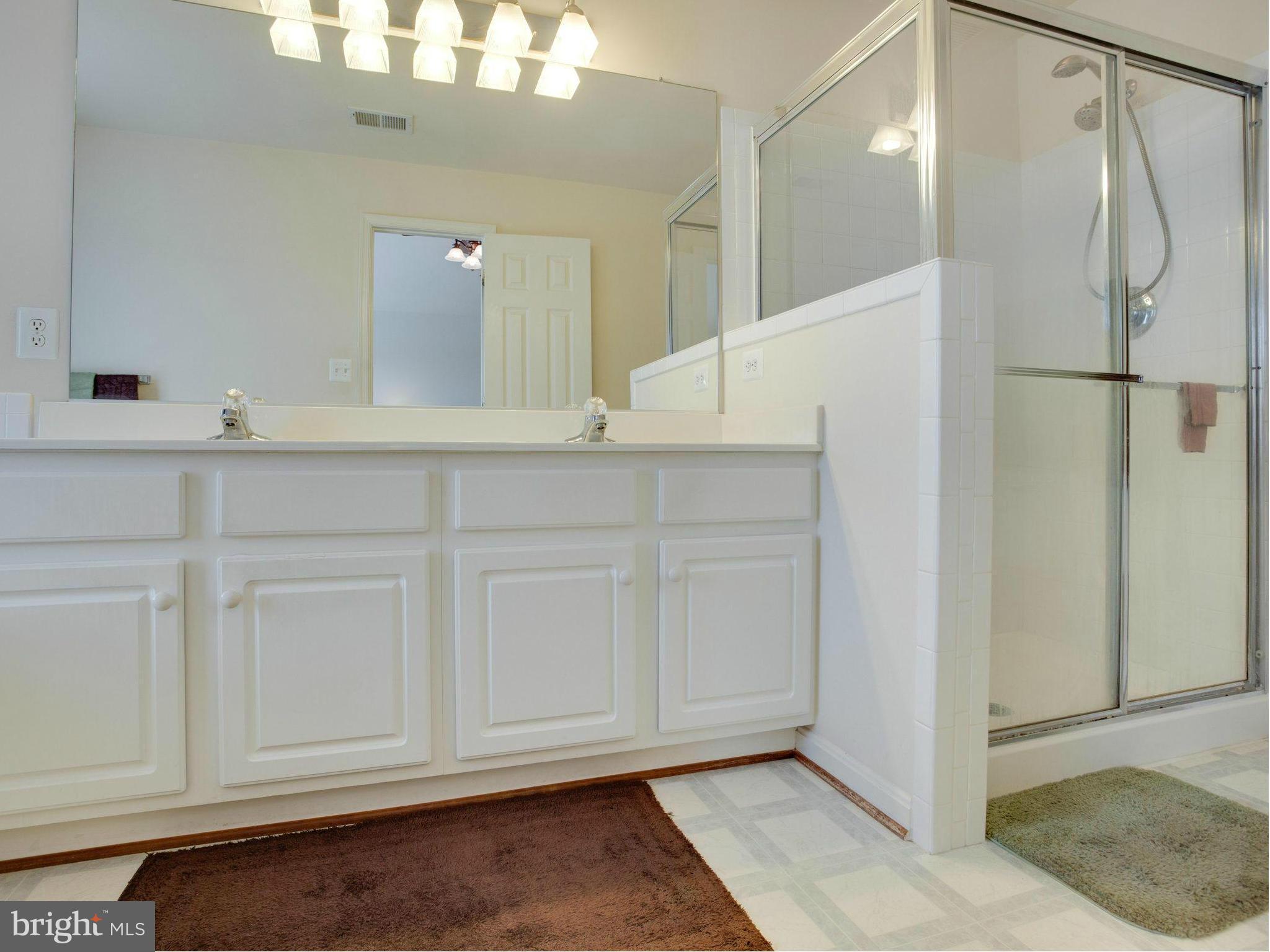 18291 Maple Spring Court Leesburg, VA 20176 - Photo 17 of 30 Bath (Master)