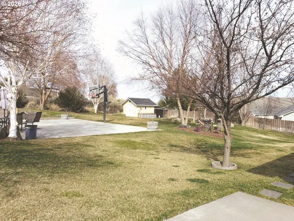 a view of yard with tree