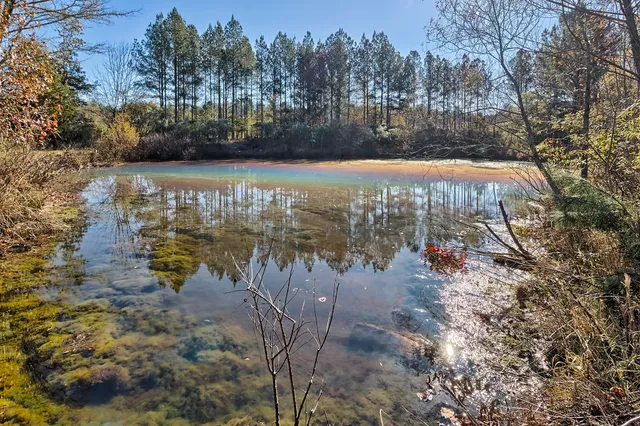 $4,990,000 | 226 Cottage Walk Lane, Saluda, SC 29138