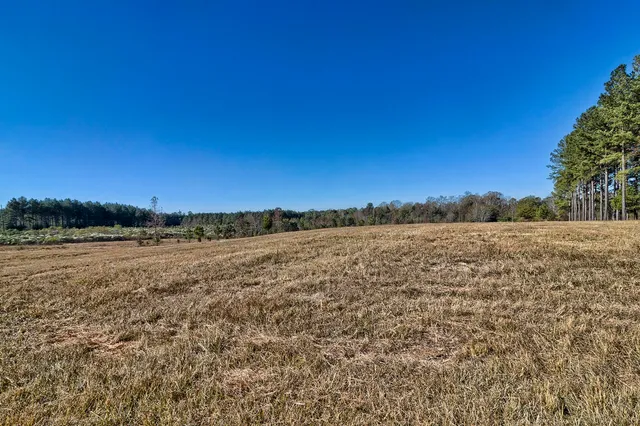 $4,990,000 | 226 Cottage Walk Lane, Saluda, SC 29138