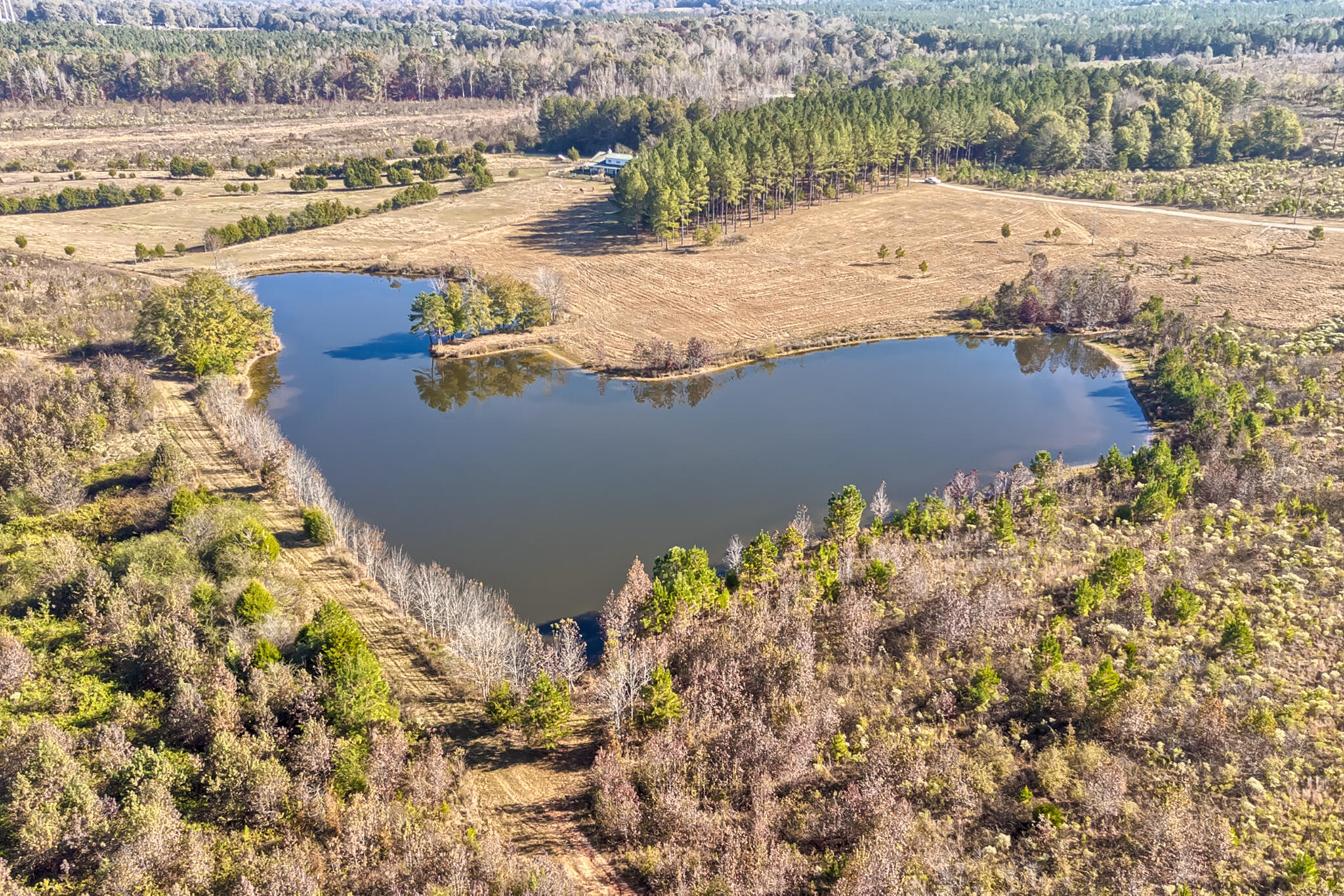 226 Cottage Walk Lane Saluda, SC 29138 - Photo 55 of 64 24033_36742_859925
