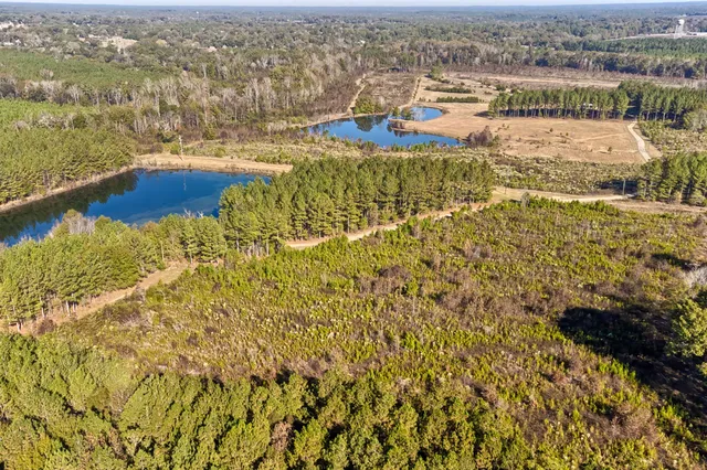 $4,990,000 | 226 Cottage Walk Lane, Saluda, SC 29138