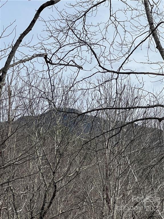 261 Nicholas Knoll Road Bakersville, NC 28705 - Photo 25 of 43 Gallery Image 25
