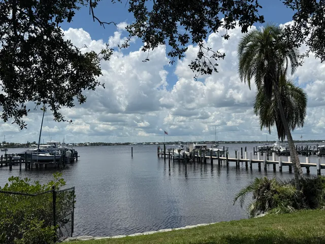 a view of a lake with boats and palm trees