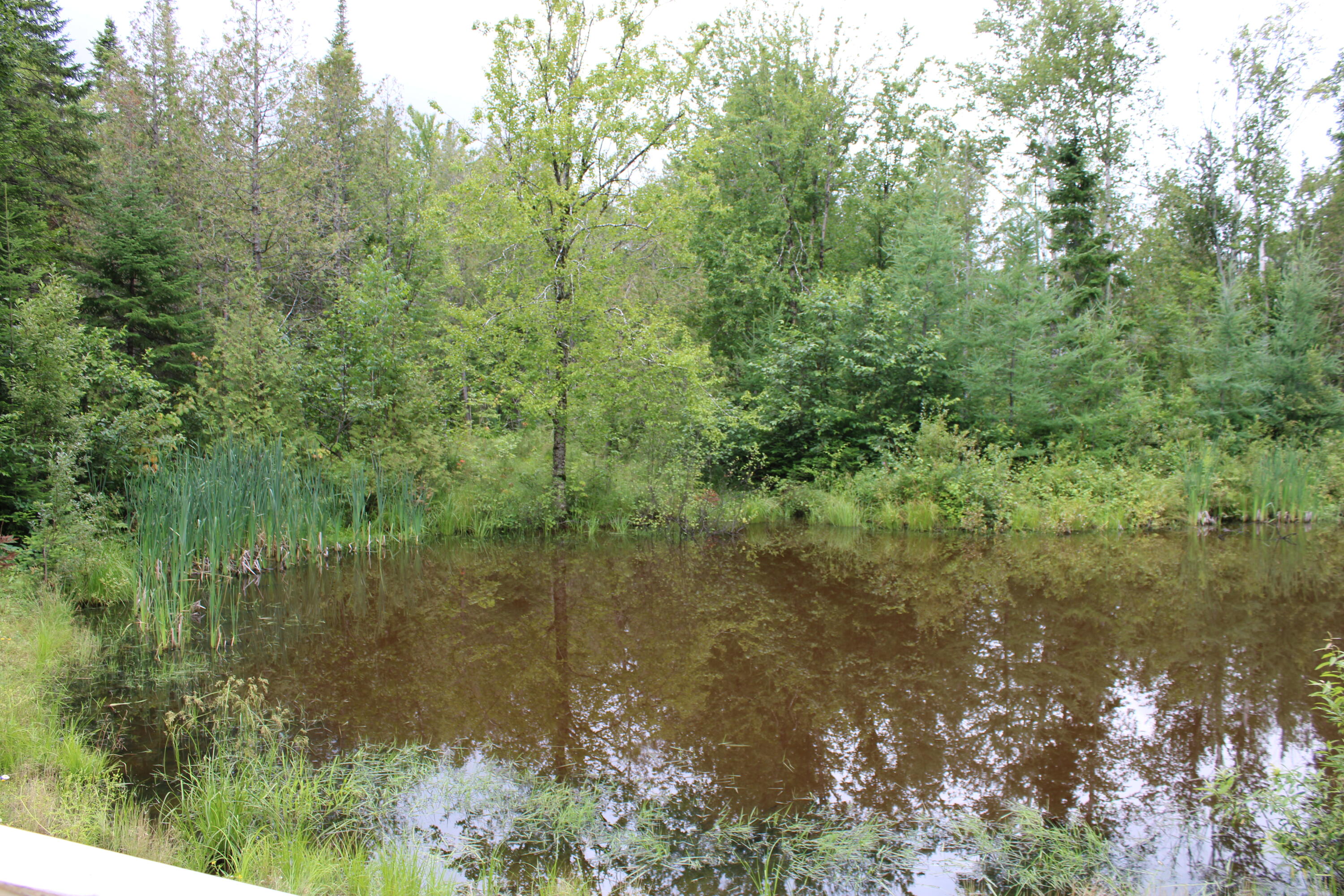 231 Grivois Road Grand Isle, ME 04746 - Photo 27 of 116 IMG_0251