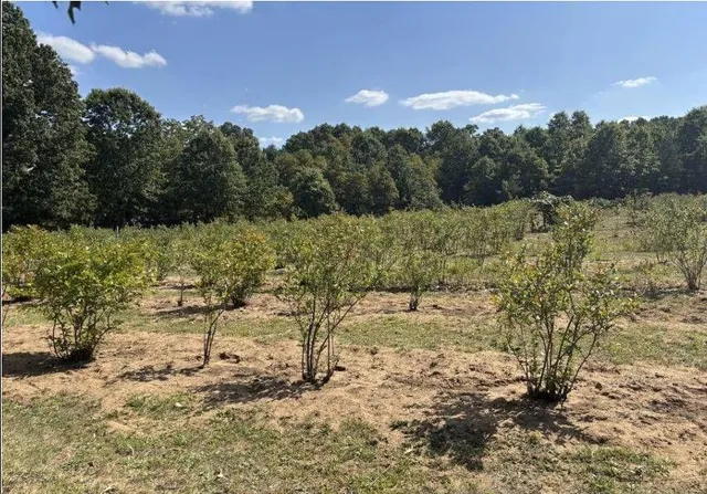 $89,900 | 80380 42nd Street, Decatur, MI 49045