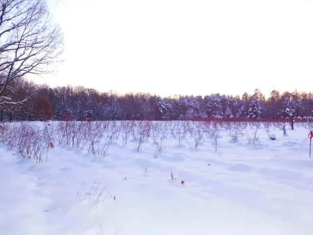 $89,900 | 80380 42nd Street, Decatur, MI 49045