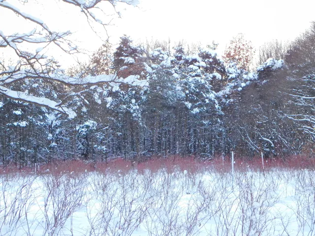 $89,900 | 80380 42nd Street, Decatur, MI 49045