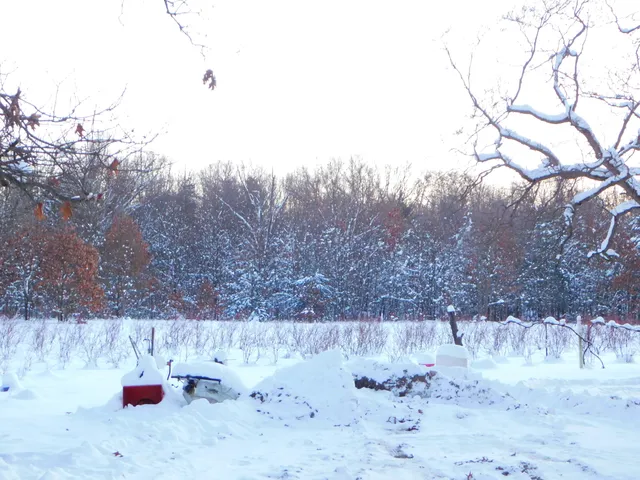 $89,900 | 80380 42nd Street, Decatur, MI 49045