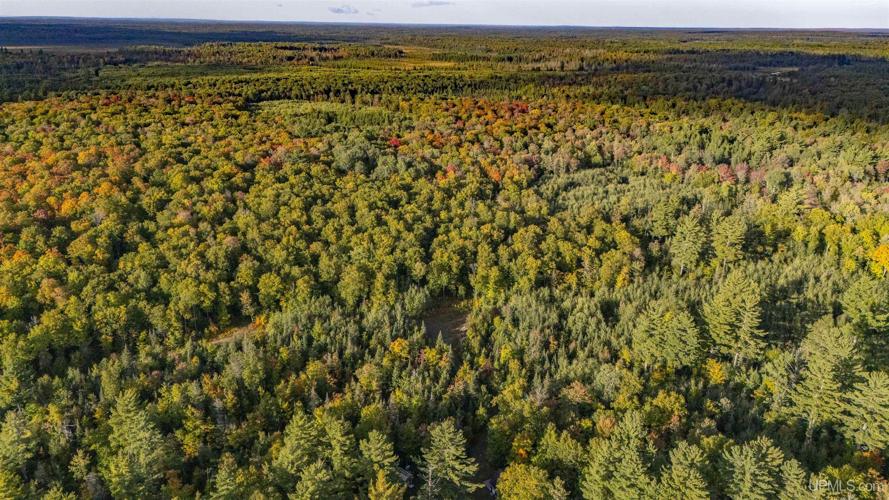 Tbd Luke Road Amasa, MI 49903 - Photo 31 of 64