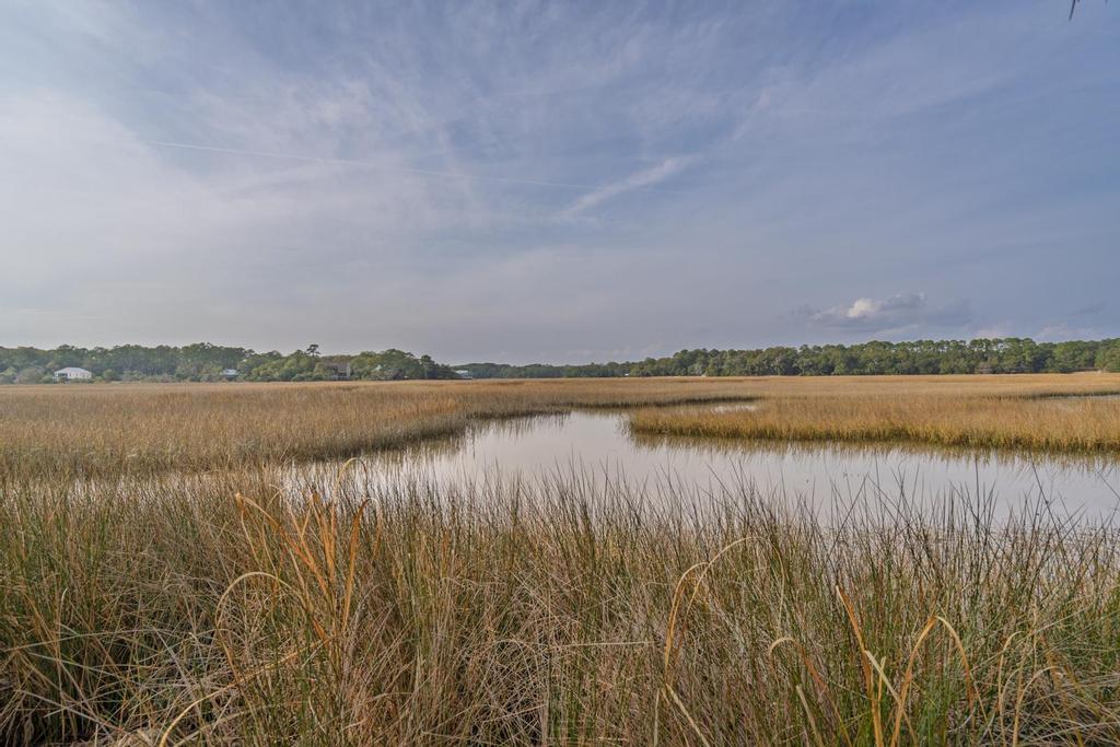 8460 Chisolm Plantation Road Edisto Island, SC 29438 - Photo 114 of 118 untitled-94
