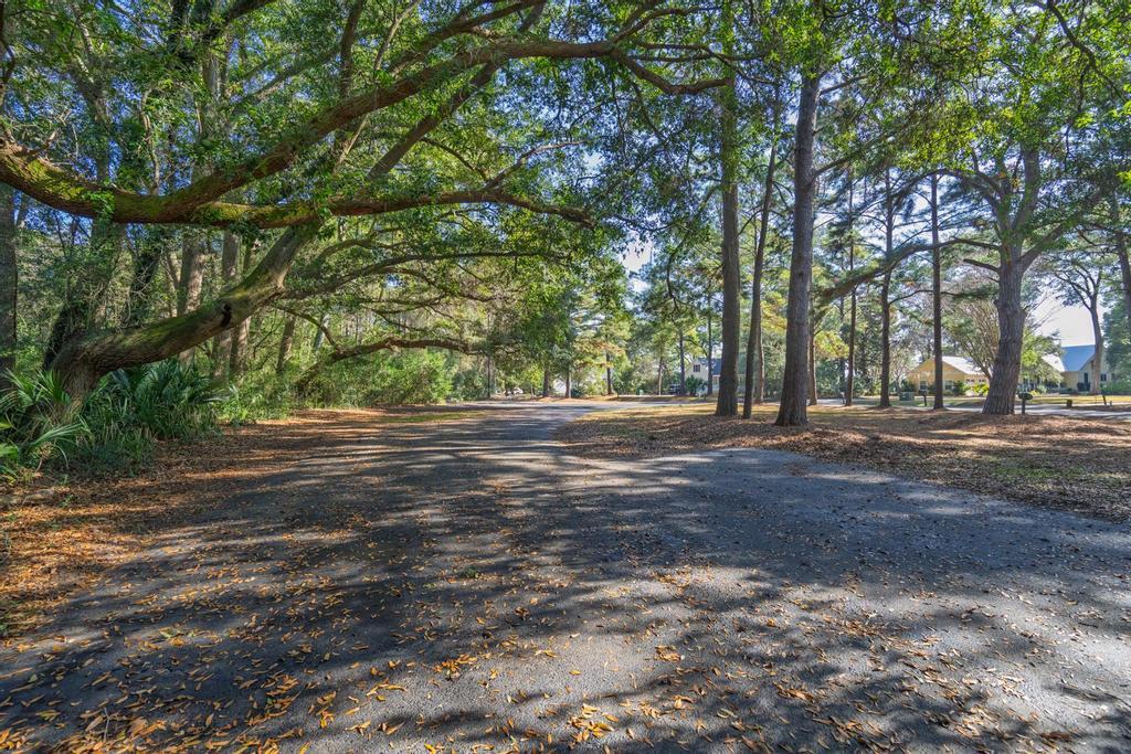 8460 Chisolm Plantation Road Edisto Island, SC 29438 - Photo 116 of 118 untitled-113
