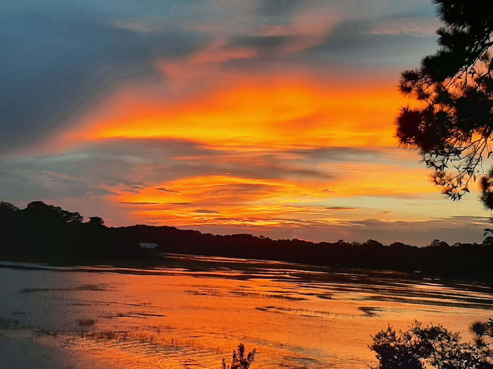 8460 Chisolm Plantation Road Edisto Island, SC 29438 - Photo 51 of 118 image000000 (6)