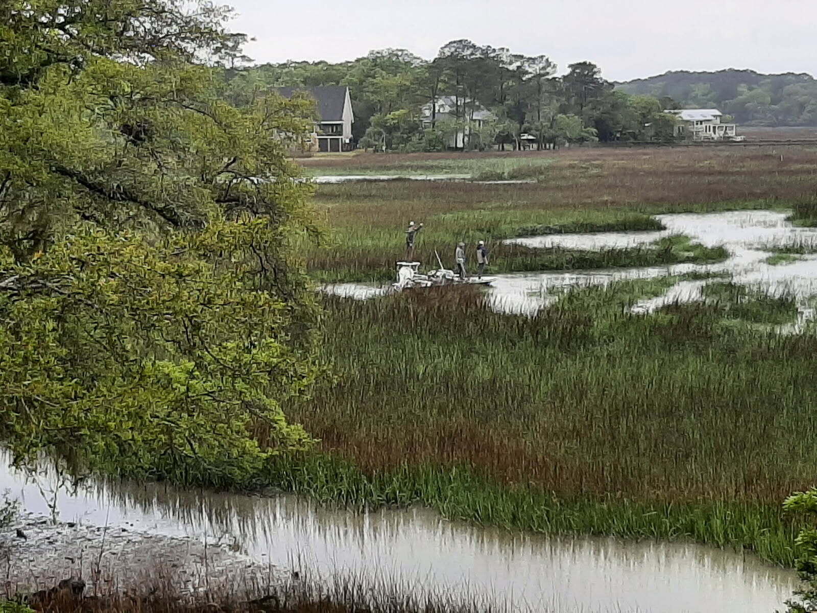 8460 Chisolm Plantation Road Edisto Island, SC 29438 - Photo 52 of 118 image000001 (1)