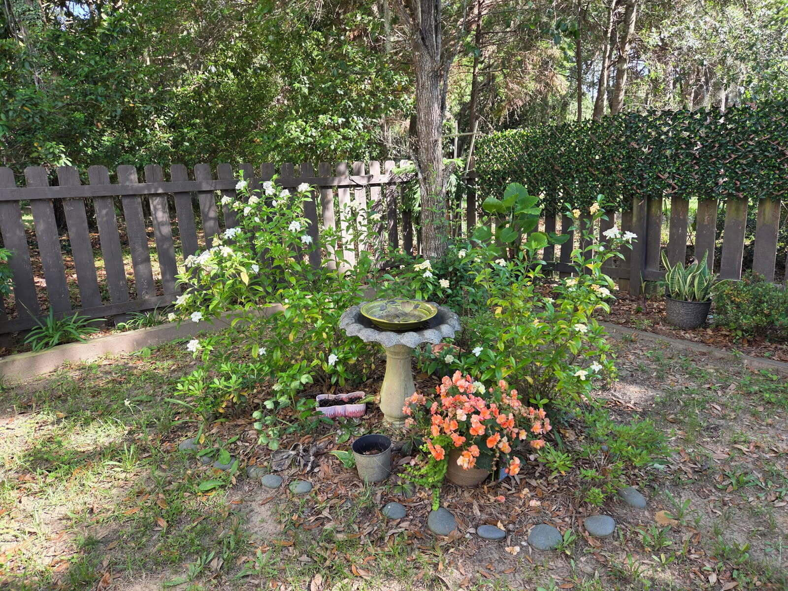 8460 Chisolm Plantation Road Edisto Island, SC 29438 - Photo 53 of 118 image000001 (2)