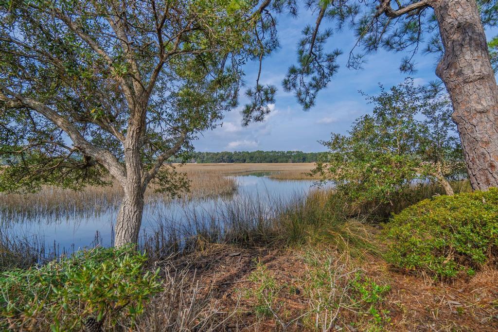 8460 Chisolm Plantation Road Edisto Island, SC 29438 - Photo 59 of 118 untitled-14