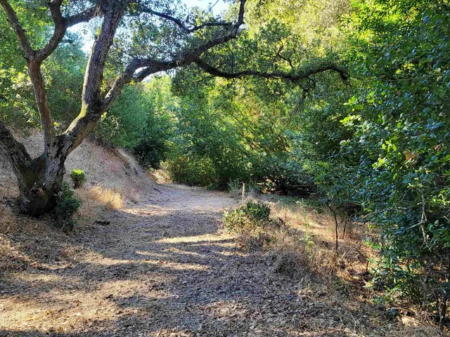 $2,450,000 | 40 Hilldale Court, Orinda, CA 94563