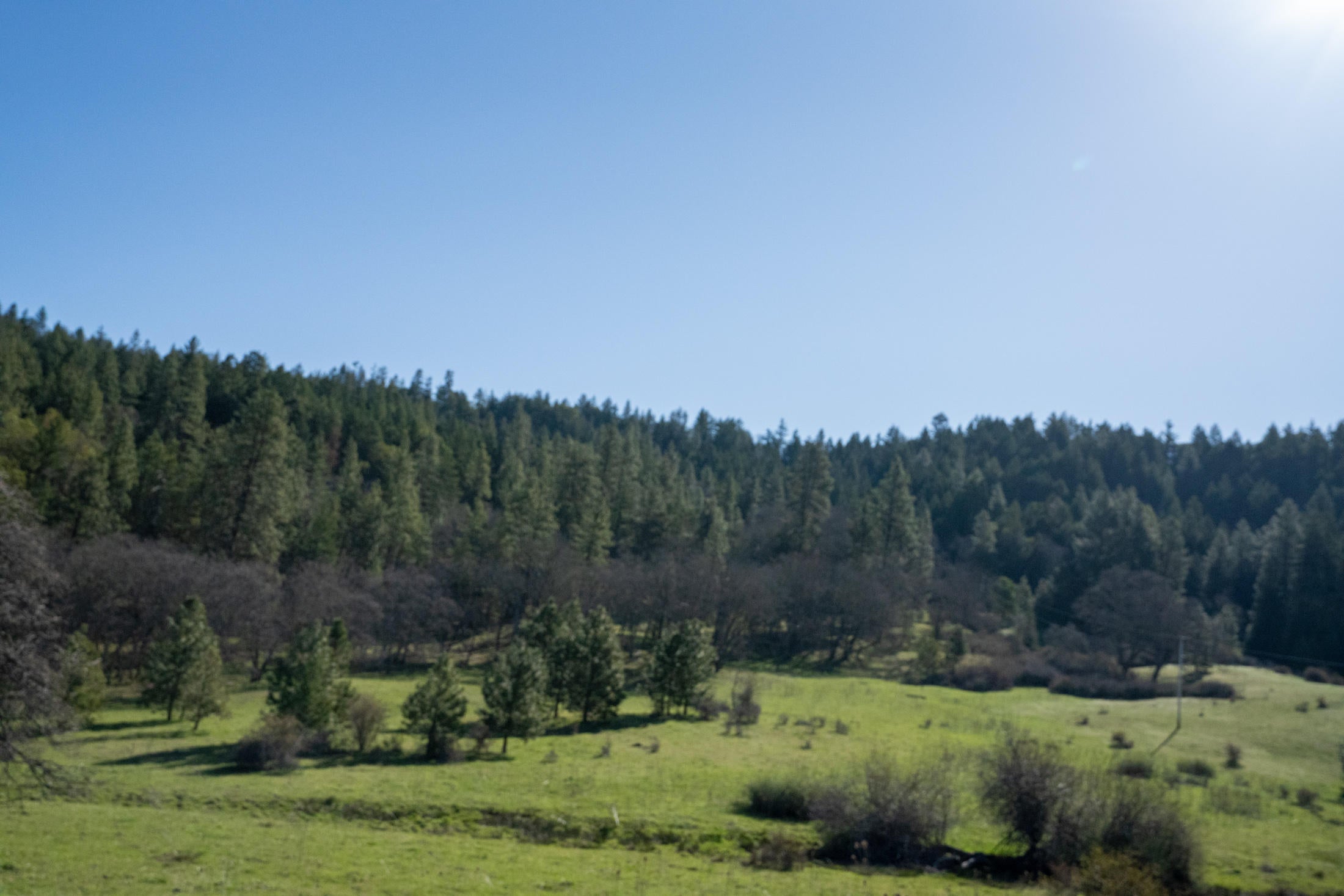 Hillcrest Road Southeast Medford, OR 97504 - Photo 3 of 8 _DSC0067
