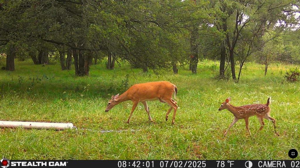 Tbd Coalville Road Gordon, TX 76453 - Photo 28 of 30