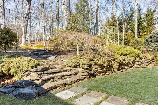 a view of yard with green space