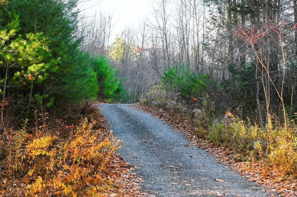 23 Dana Road Petersham, MA 01366 - Photo 22 of 32 a view of a pathway with a yard