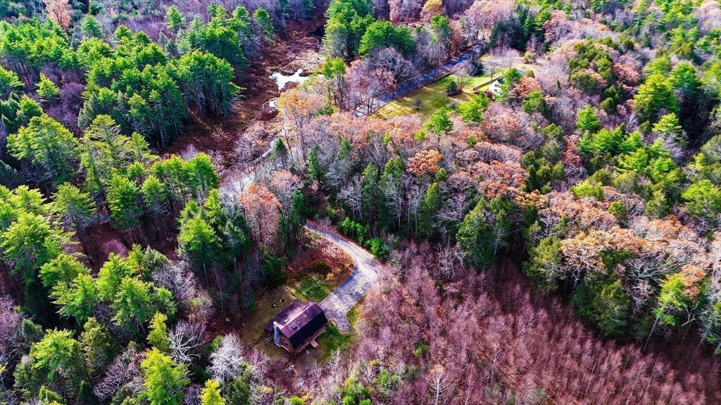 23 Dana Road Petersham, MA 01366 - Photo 30 of 32 a picture of flowers