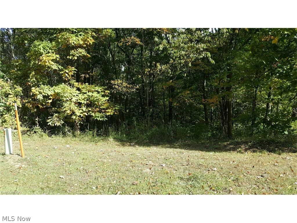Rabbit Ridge Road Howard, OH 43028 - Photo 1 of 5