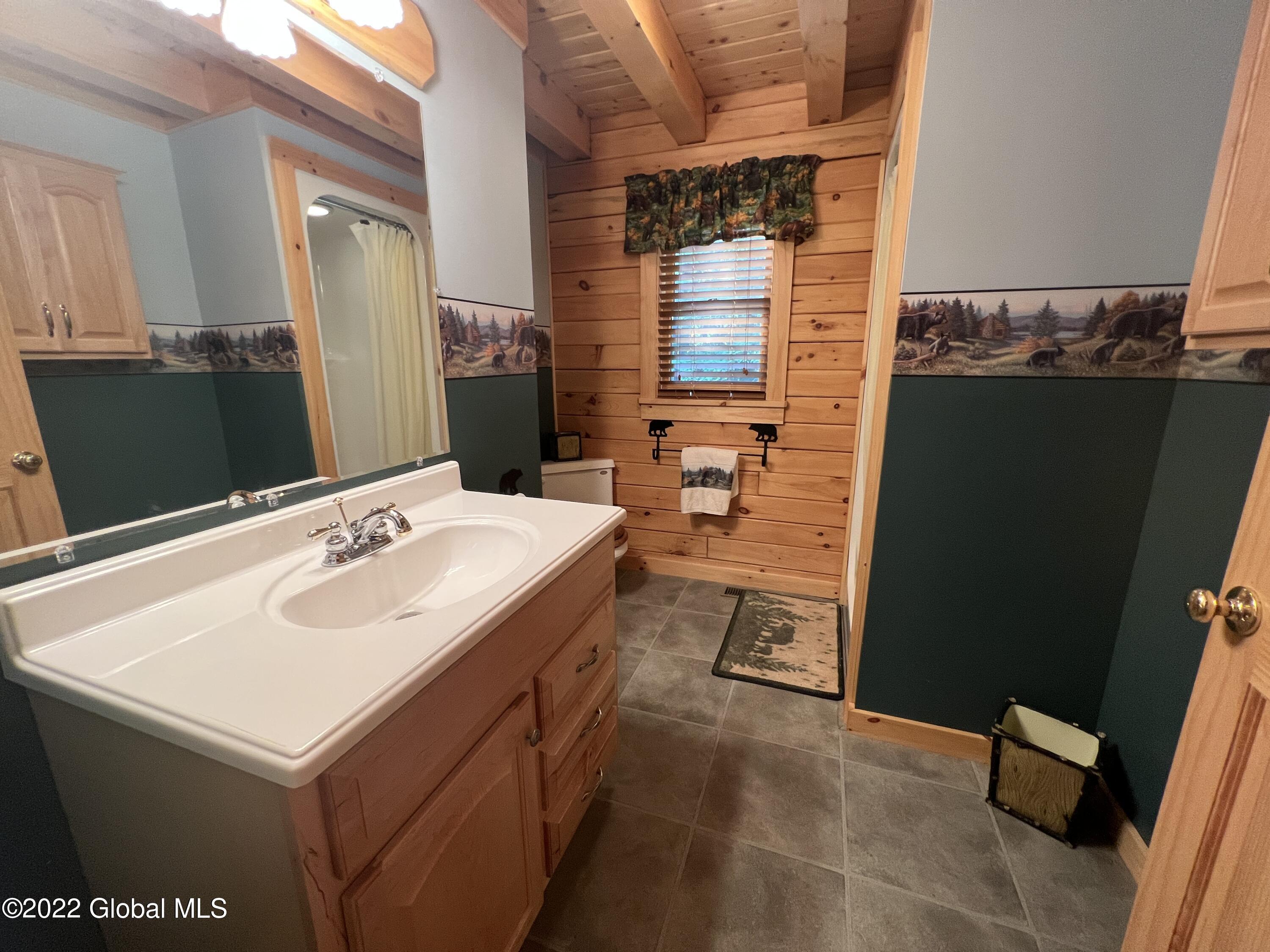 932 Goodnow Flow Road Newcomb, NY 12852 - Photo 16 of 21 Goodnow Bath 2