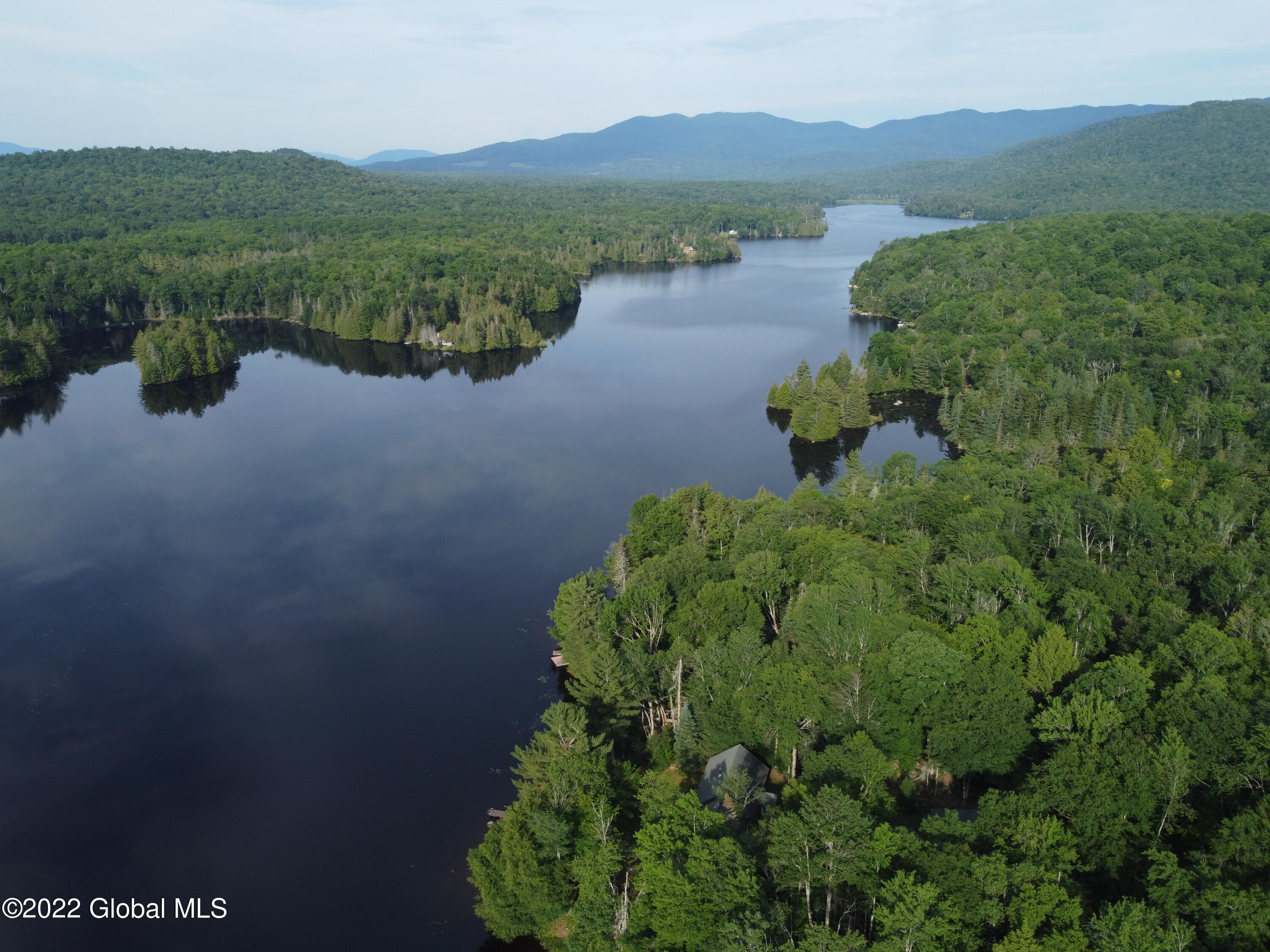 932 Goodnow Flow Road Newcomb, NY 12852 - Photo 4 of 21 Goodnow Water View
