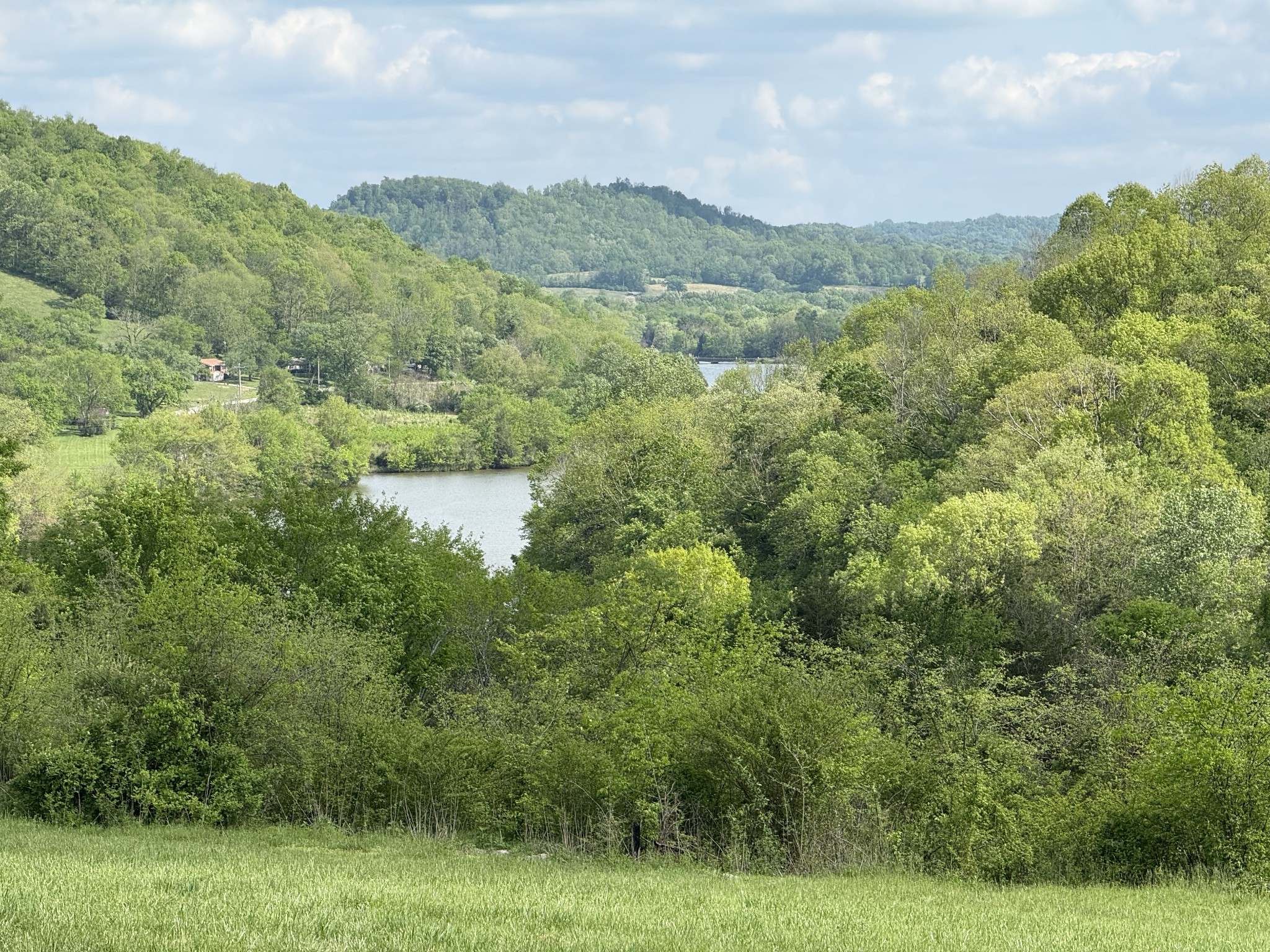 a view of a lake with a mountain in the background