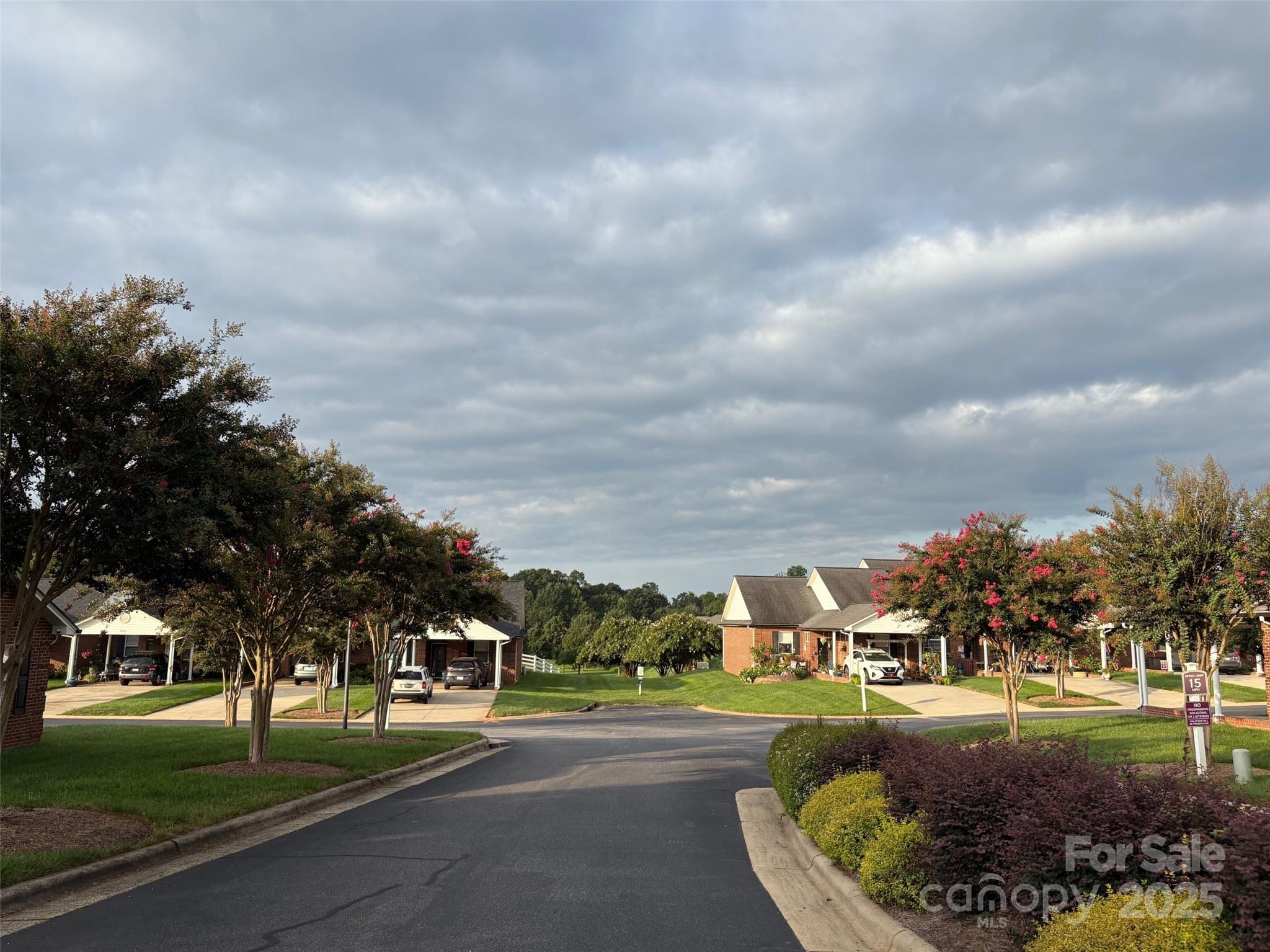 3910 Azalea Trail Denver, NC 28037 - Photo 28 of 28