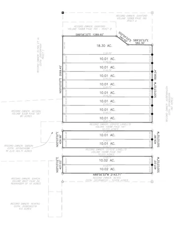 a black and white photo of a painting