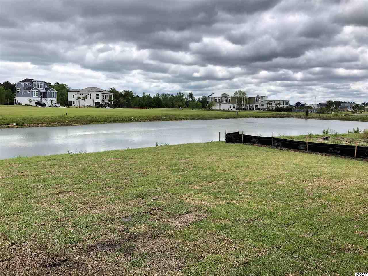 944 Pelagic Loop Myrtle Beach, SC 29579 - Photo 4 of 23 Gallery Image 4