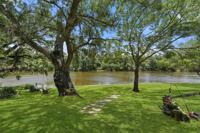a view of lake with tree