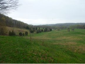 0 Lynn Road Blountville, TN 37617 - Photo 16 of 23 Photo 16