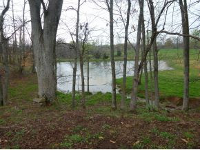 0 Lynn Road Blountville, TN 37617 - Photo 20 of 23 Photo 21