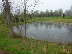 0 Lynn Road Blountville, TN 37617 - Photo 8 of 23 Photo 8