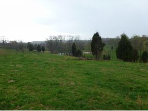 0 Lynn Road Blountville, TN 37617 - Photo 9 of 23 Photo 9