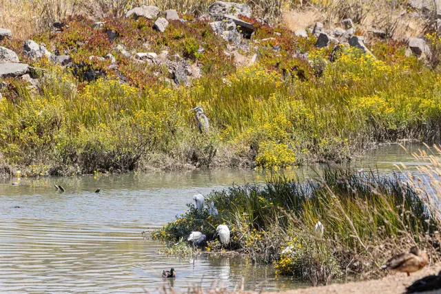 $440,000 | 166 Bayside Court, Richmond, CA 94804