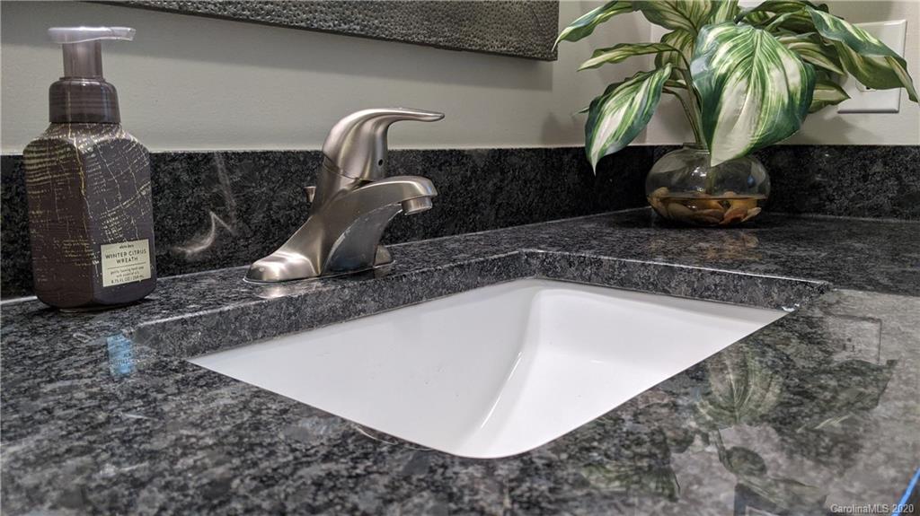 345 Whiteside Road Clover, SC 29710 - Photo 36 of 46 a close view of sink