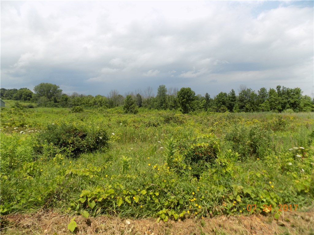8001 East River Road Rush, NY 14543 - Photo 1 of 1 Summer scene- the 3 acres goes up and to the left