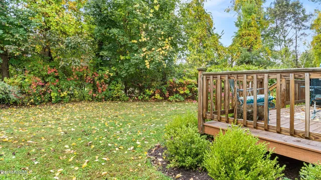 a view of a bench in the garden