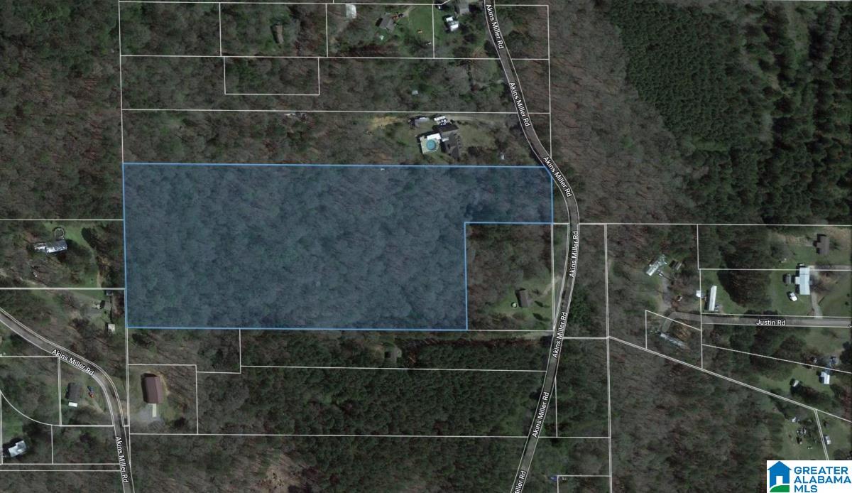 Akins Miller Road Jasper, AL 35501 - Photo 1 of 13