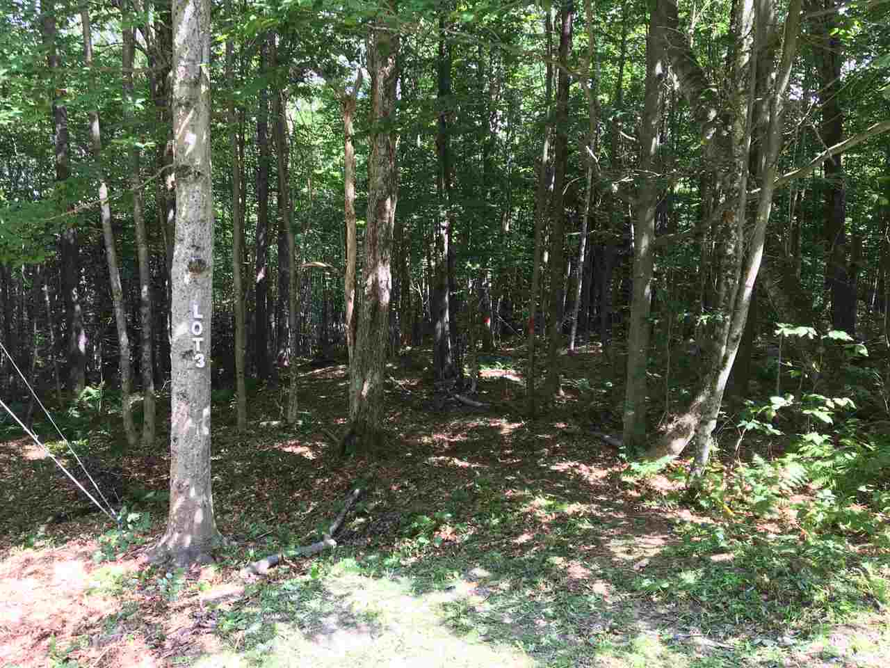 Lot 3 Old Manchester Road Peru, VT 05152 - Photo 3 of 5 Gallery Image 3