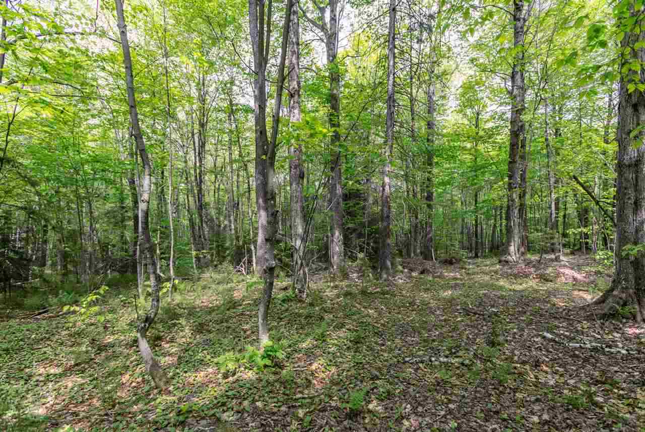 Lot 3 Old Manchester Road Peru, VT 05152 - Photo 5 of 5 Gallery Image 5