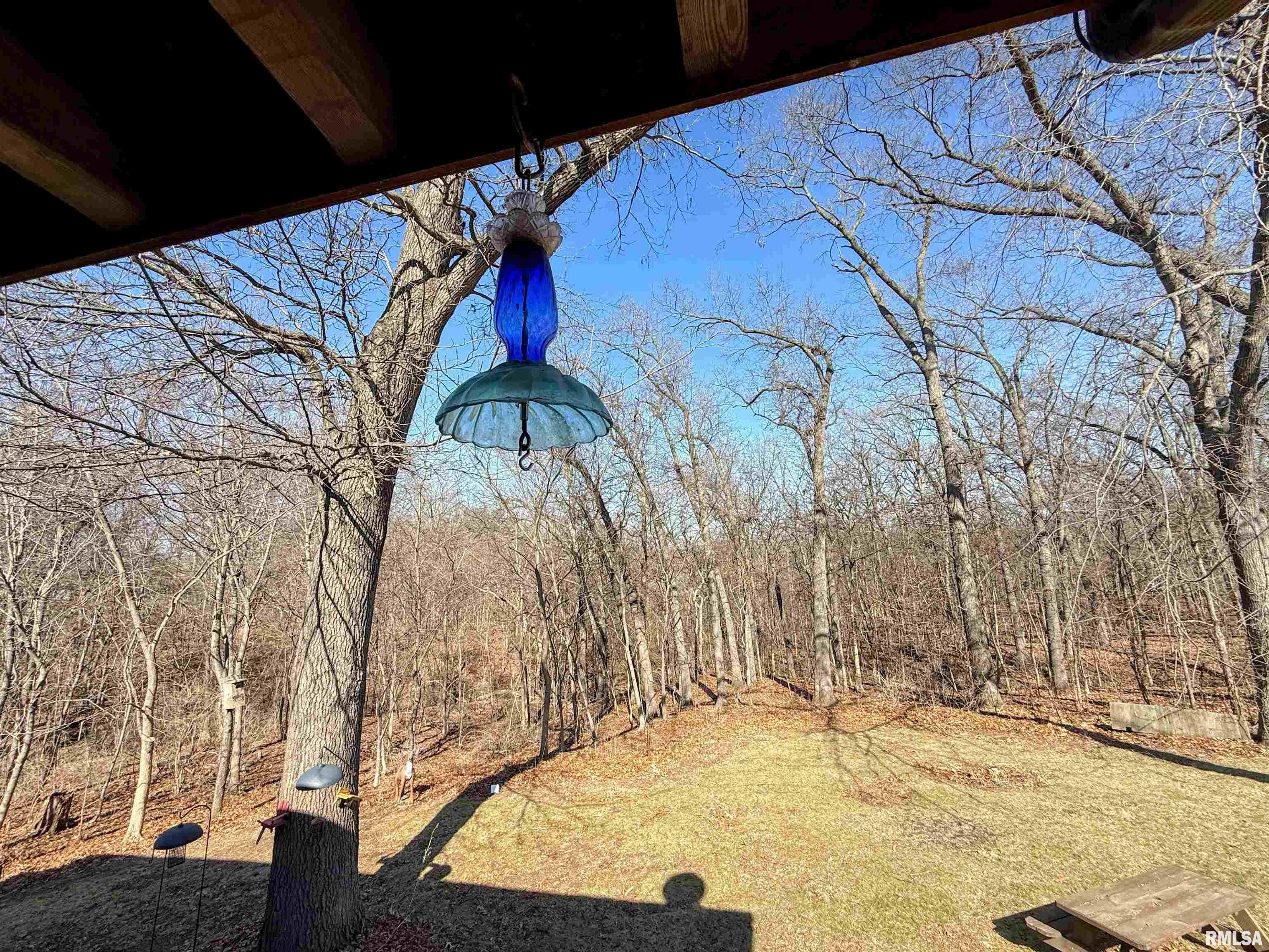 28829 North Bitner Road Glasford, IL 61533 - Photo 29 of 33